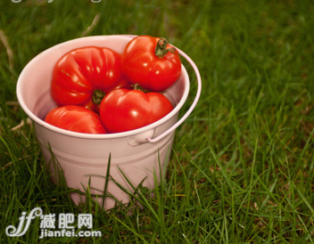 西红柿的6个功效 不止减肥这么简单